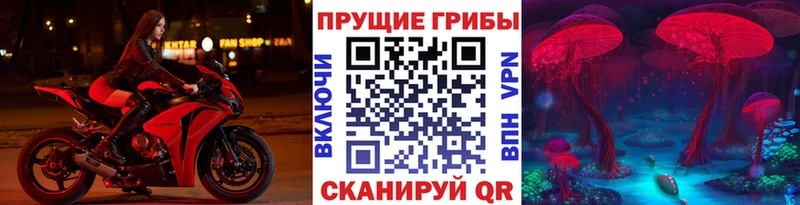 как найти наркотики  Юрьев-Польский  Псилоцибиновые грибы MAGIC MUSHROOMS 